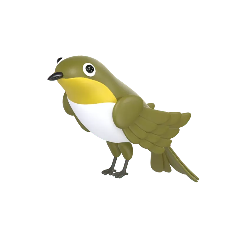 Everett's White-Eye