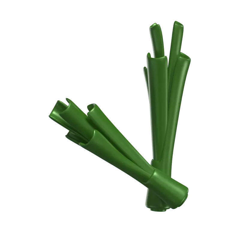 Two Leek Pieces 3D Model 3D Graphic