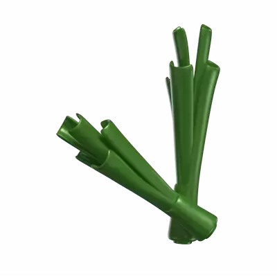 Two Leek Pieces 3D Model 3D Graphic