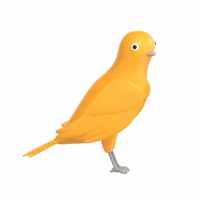 Canary 3D Graphic