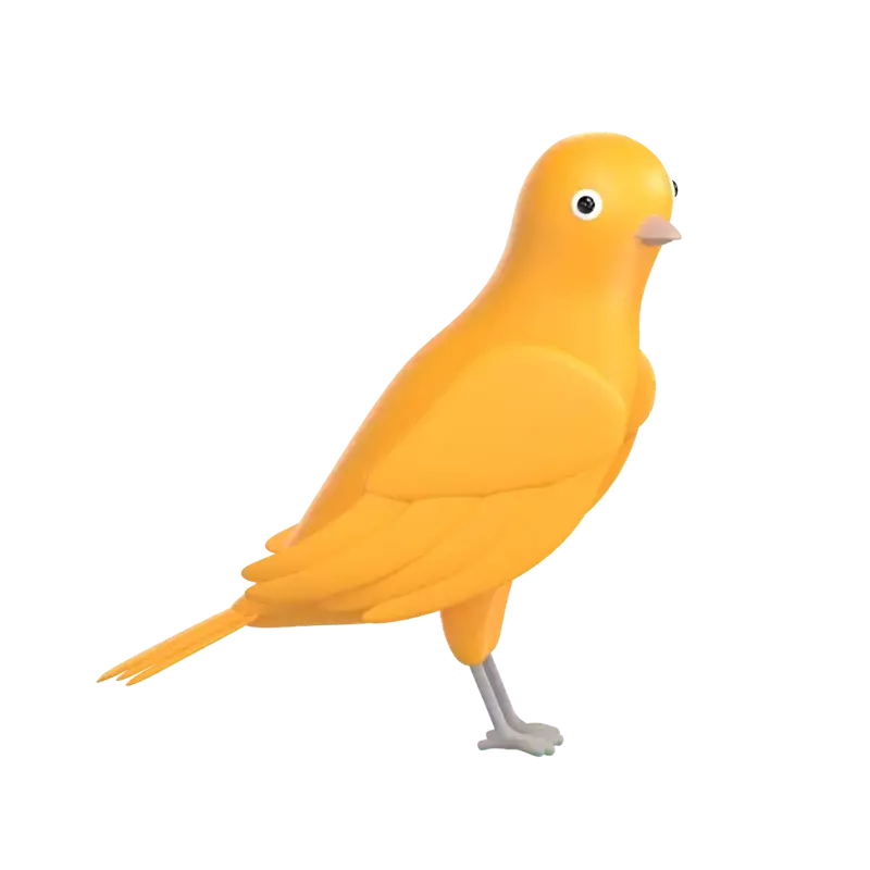 Canary 3D Graphic