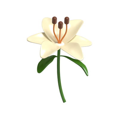 3D Lily Cute Elegant Floral Beauty 3D Graphic