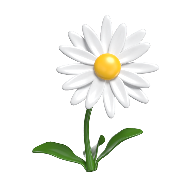 3D Daisy Playful Floral Whimsy 3D Graphic