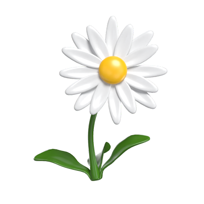 3D Daisy Playful Floral Whimsy 3D Graphic