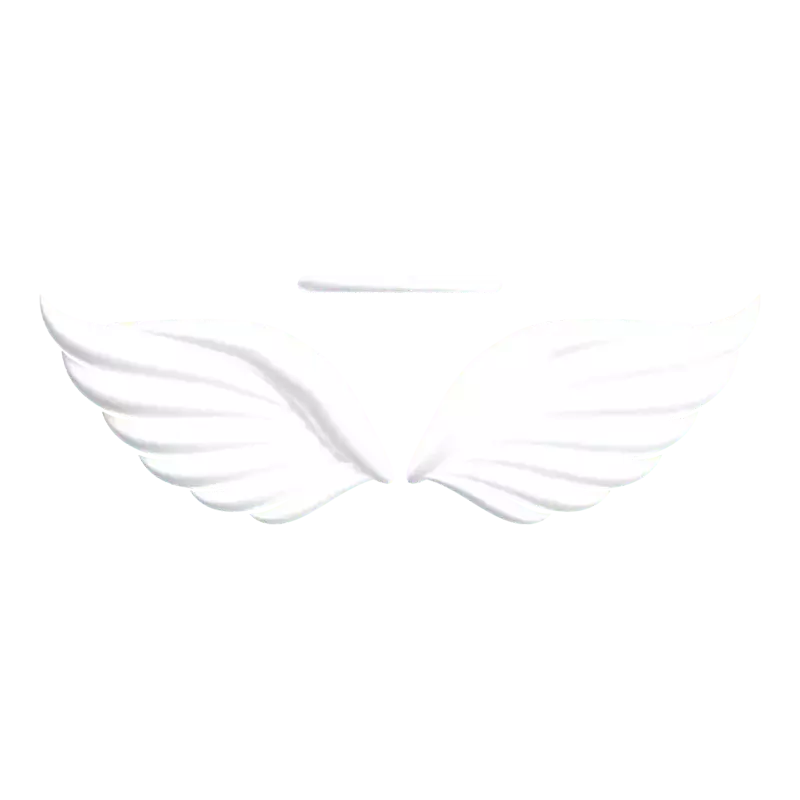 Angel Wings 3D Graphic