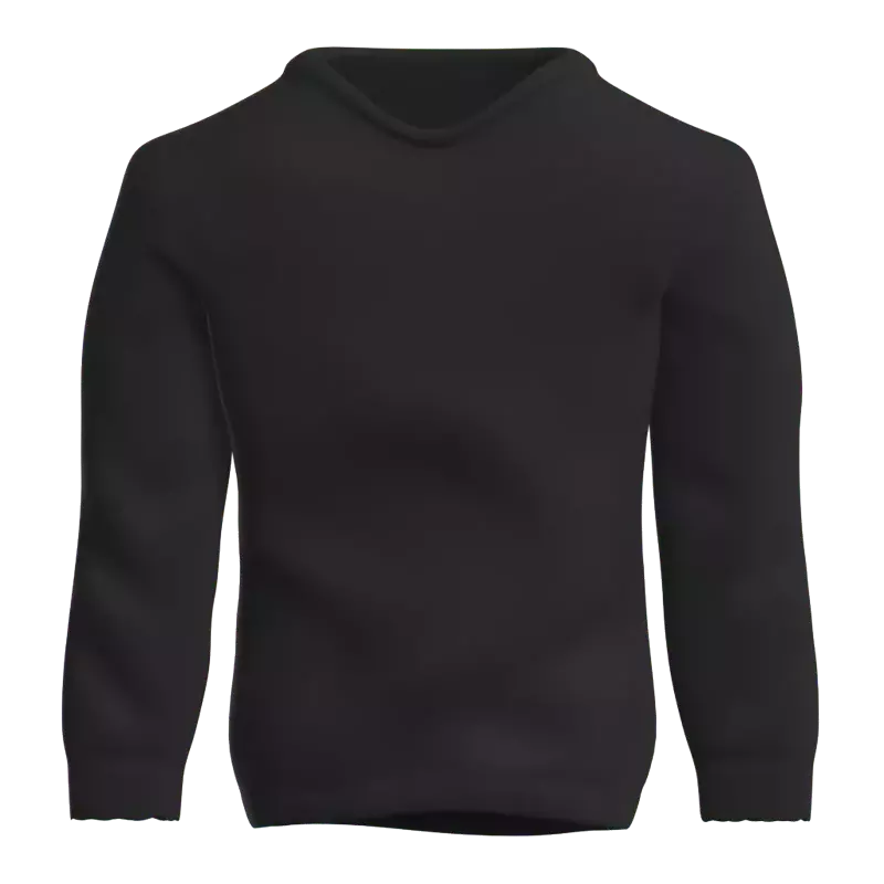 Sweater 3D Graphic