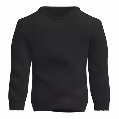 Sweater 3d model--18d19ef1-2351-49d6-9437-172f68ad1205