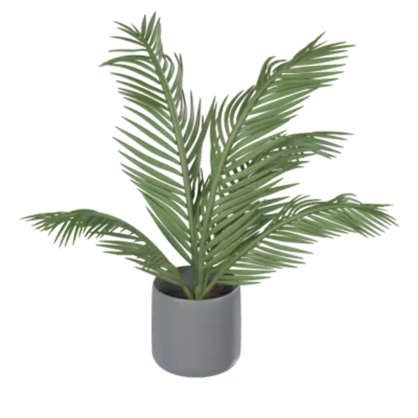 Coconut Tree With Pot 3D Graphic