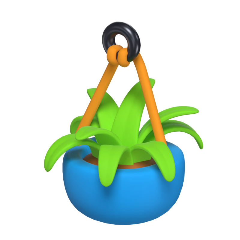 3D Hanging Pot With Plant And Soil Inside 3D Graphic