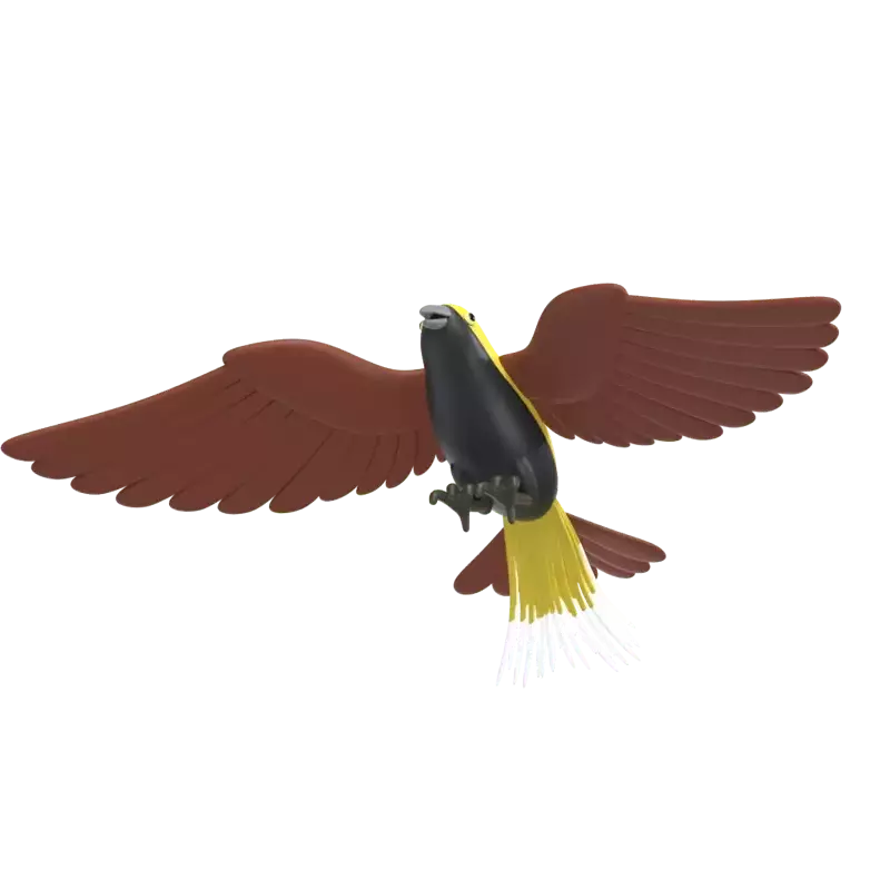 Bird of Paradise 3D Graphic