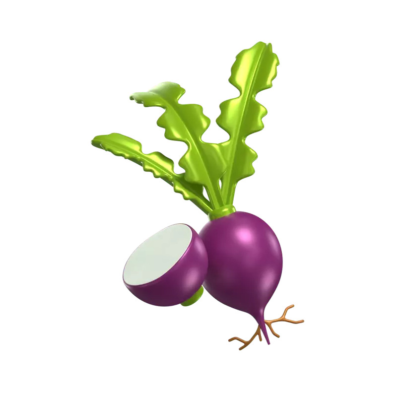 Two 3D Turnip Models With Leaves And Sliced 3D Graphic