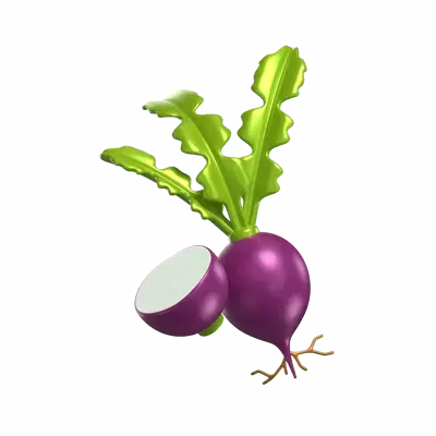 Two 3D Turnip Models With Leaves And Sliced 3D Graphic