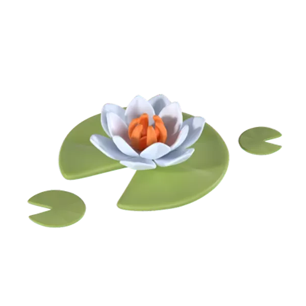 Water Lily 3D Graphic