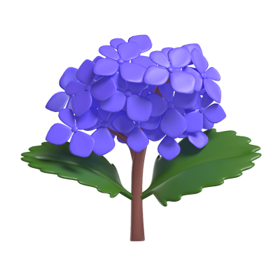 3D Hydrangea Cute Purple Delicate Blooms 3D Graphic