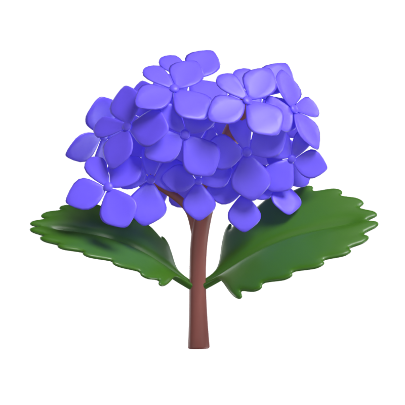 3D Hydrangea Cute Purple Delicate Blooms 3D Graphic