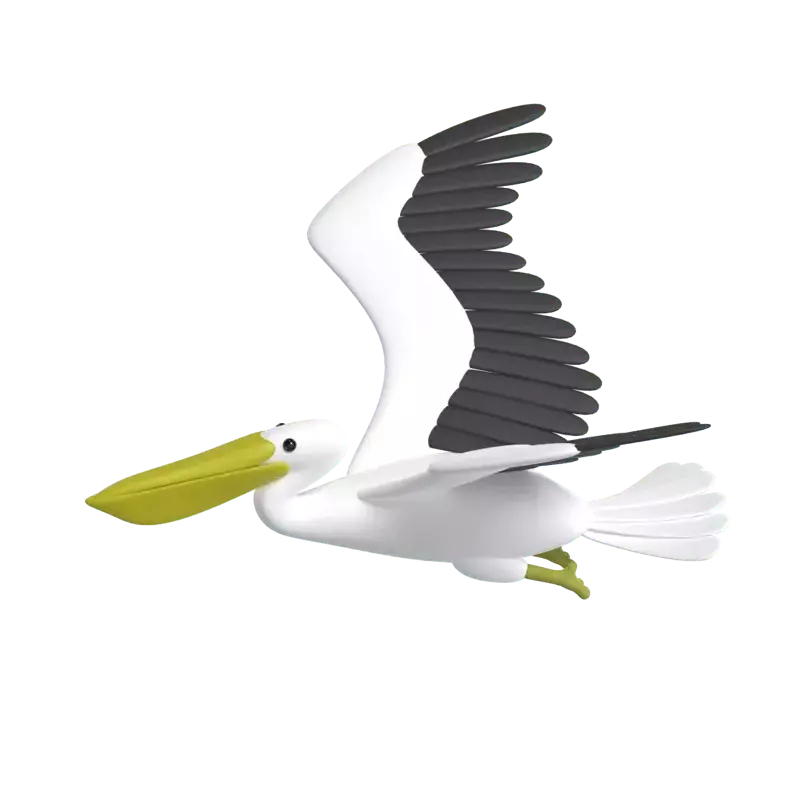 Pelican 3D Graphic