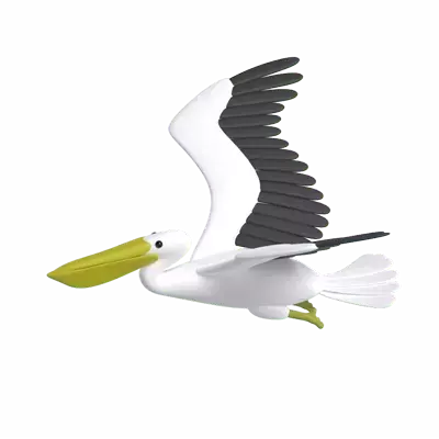 Pelican 3D Graphic