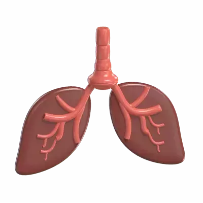 Lungs 3D Graphic
