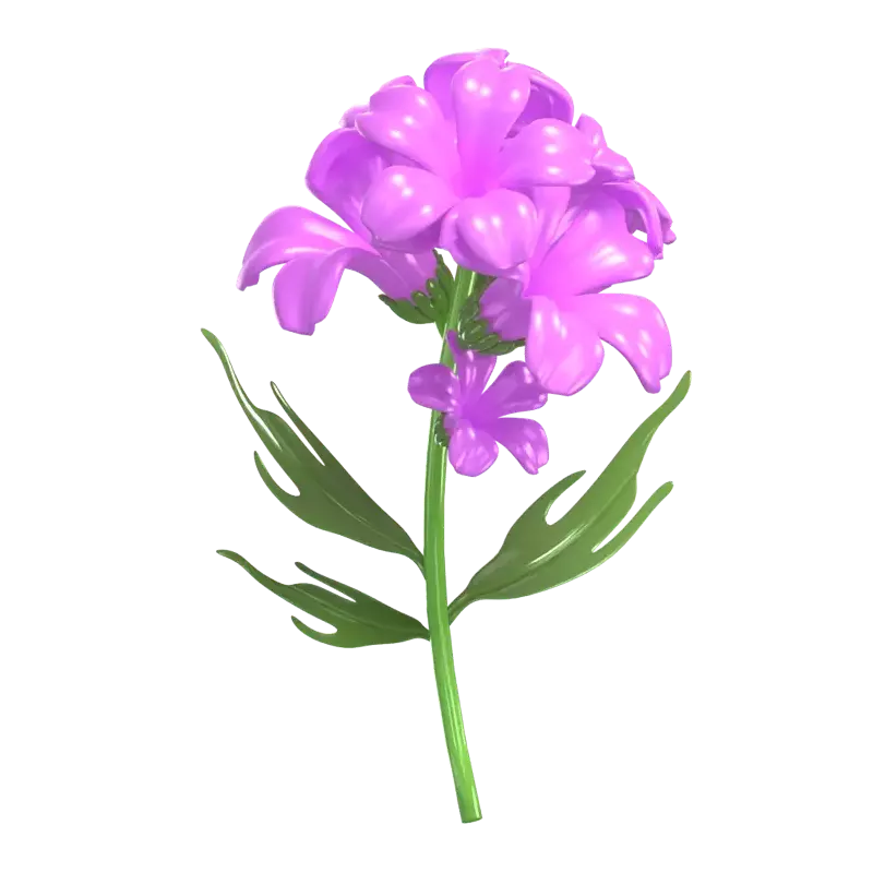 3D Model Statice Flower With Abundant Petal 3D Graphic