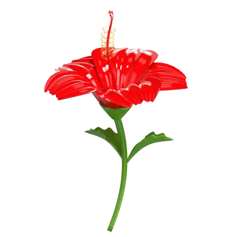 3D Hibiskus Blume Modell Exquisite Petal Detail 3D Graphic