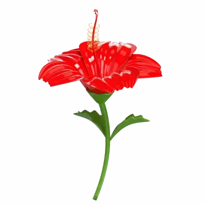 3D Hibiskus Blume Modell Exquisite Petal Detail 3D Graphic