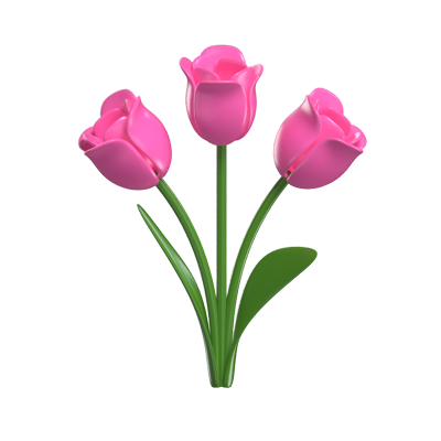  3D Three Cute Stalk Pink Tulips  3D Graphic