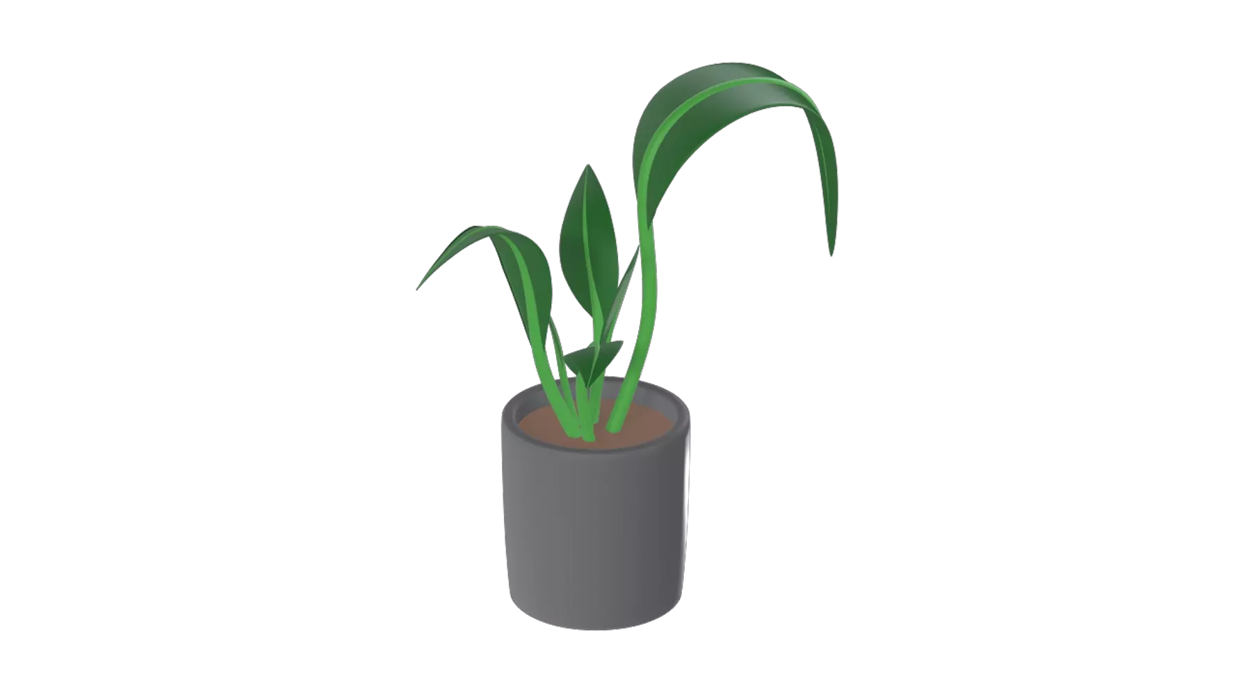 Planta en maceta 3D Graphic