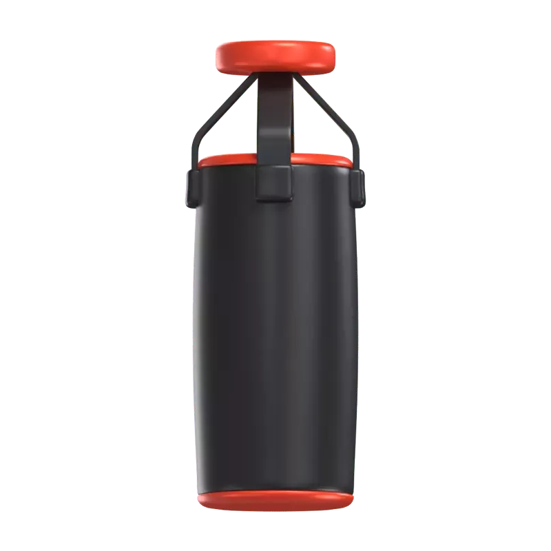 Punching Bag 3D Graphic