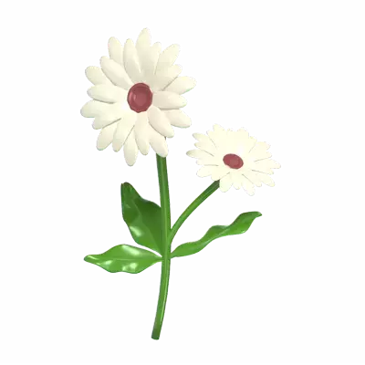 3d modell weißes gerbera gänseblümchen blütenblatt eleganz 3D Graphic