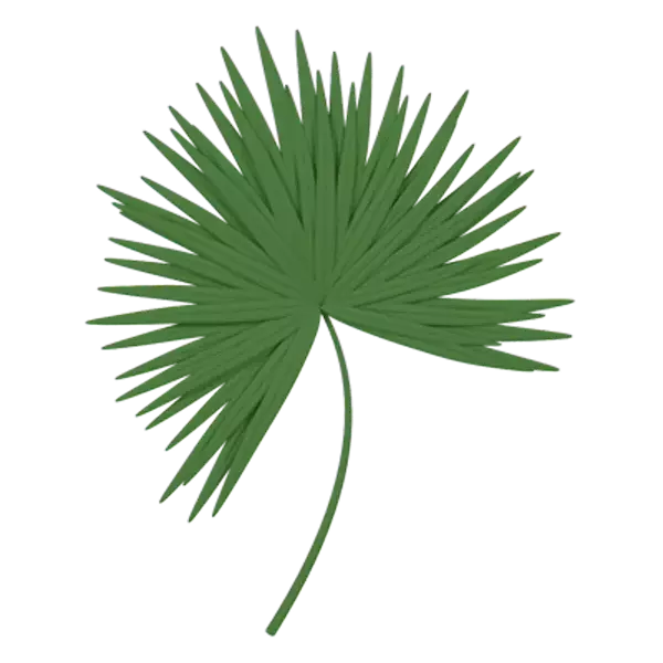 Palmetto 3D Graphic