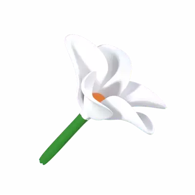 Frangipani Flower 3D Graphic