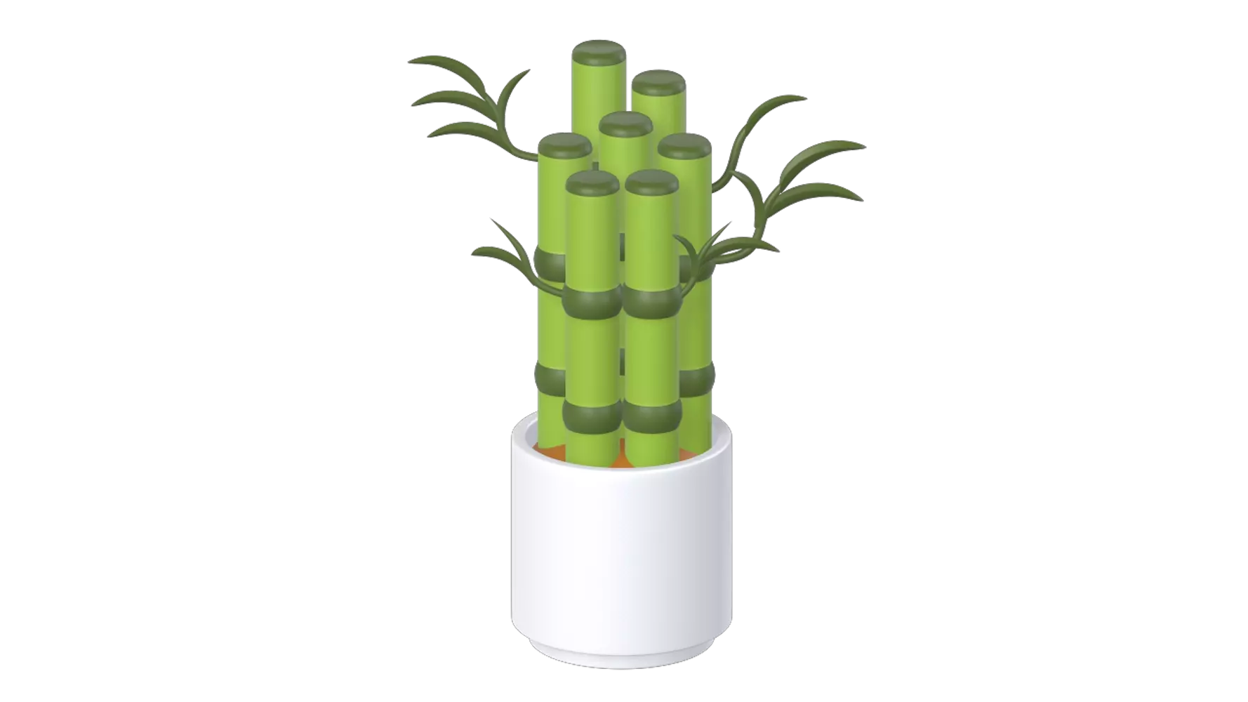 Lucky Bamboo Plant 3D Graphic