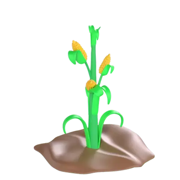Corn Plant 3D Graphic