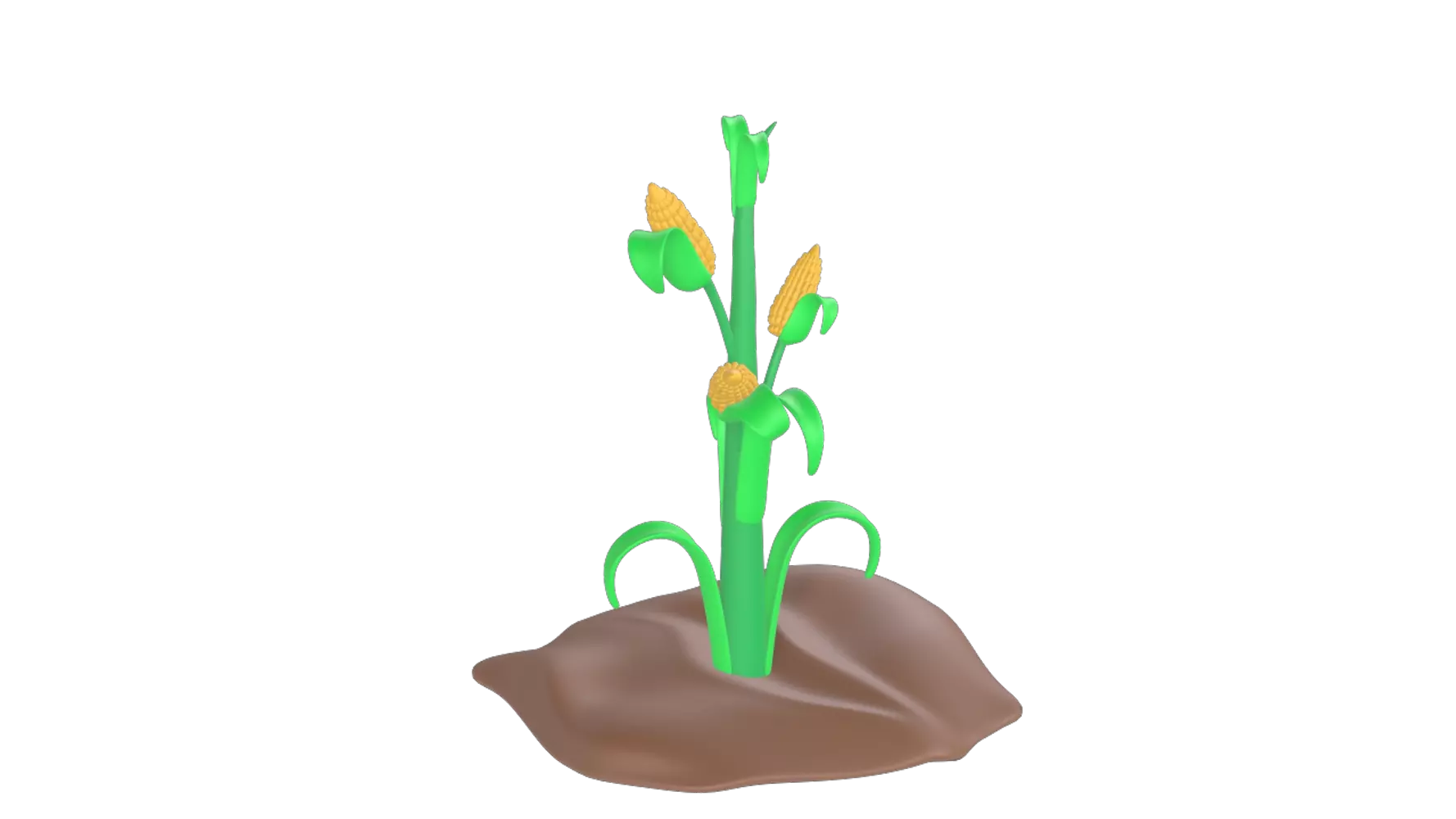 Corn Plant 3D Graphic