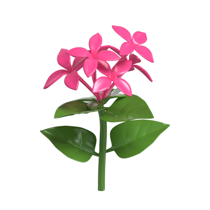 3D Bouvardia Cute Pink Delicate Floral Elegance 3D Graphic