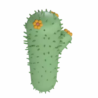 Cactus 3d model--19c52f1a-4440-4f3d-aa39-2c3f0031aac9
