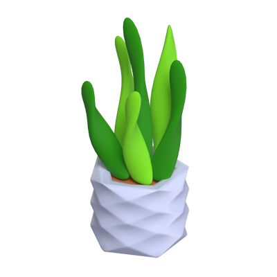 Sansevieria Plant In A Pot 3D Icon 3D Graphic