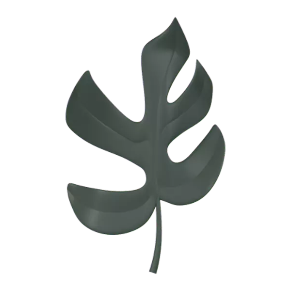 Monstera 3D Graphic