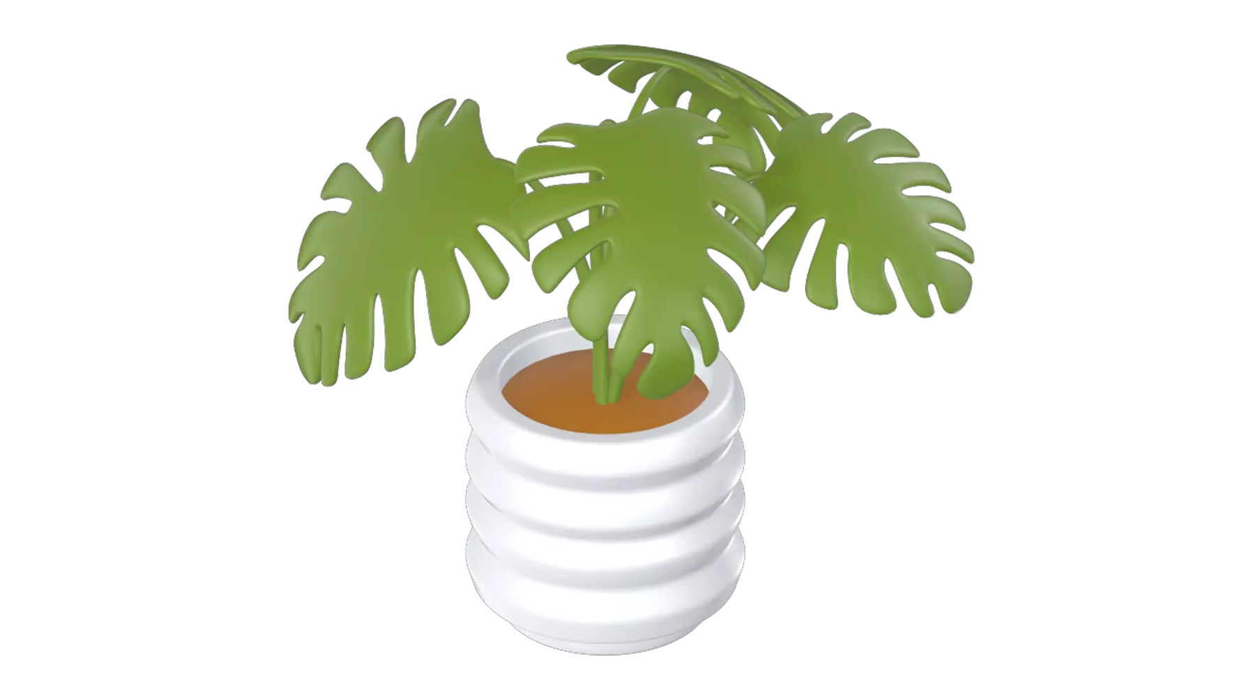 Monstera Deliciosa Plant 3D Graphic