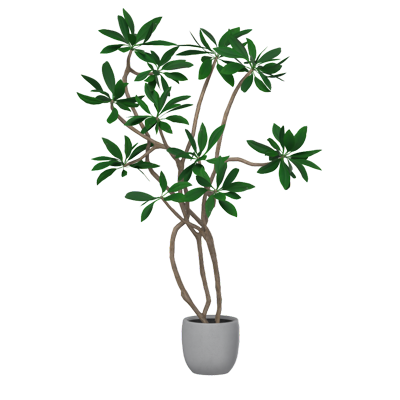 Small Tree Growing On Tiny Pot Vase 3D Model For Garden 3D Graphic