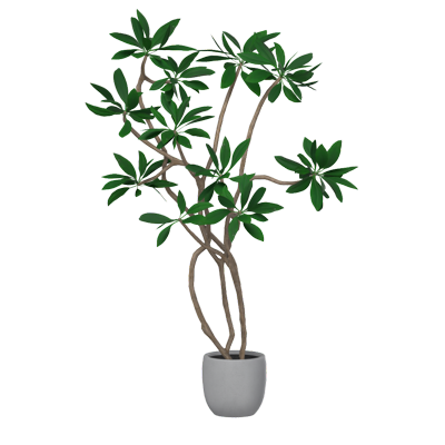 pequeño árbol que crece en tiny pot jarrón modelo 3d para jardín 3D Graphic