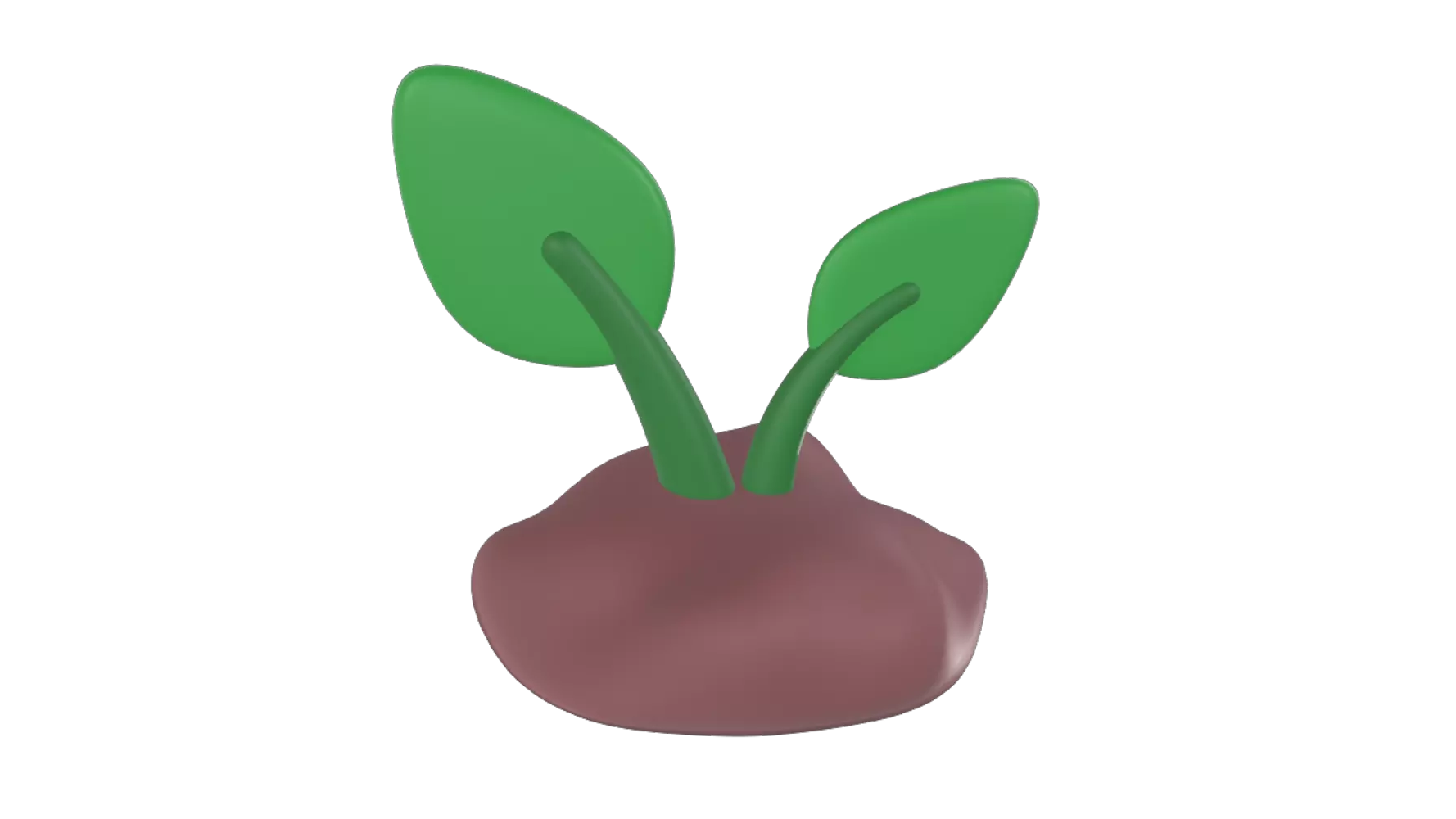 Plant 3D Graphic