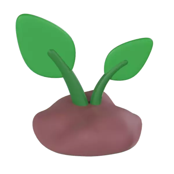 Plant 3D Graphic