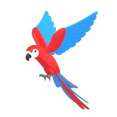 Macaw 3D Graphic