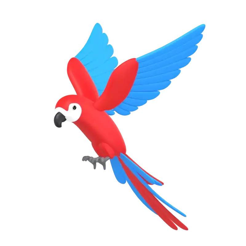 Macaw 3D Graphic