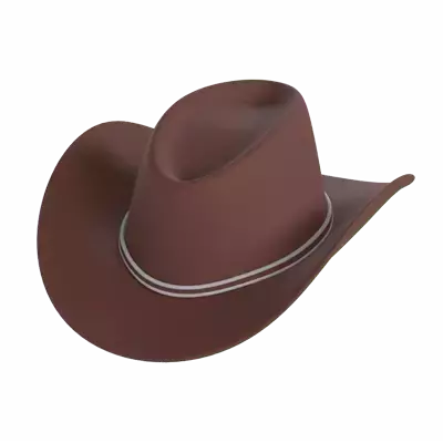 Cowboy Hat 3D Graphic
