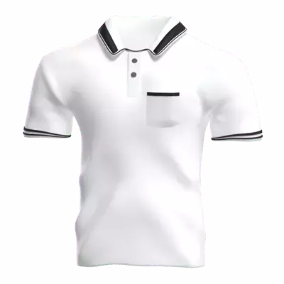 Polo Shirt List 3D Graphic