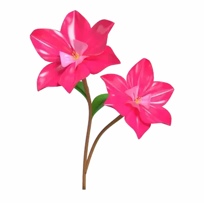 3D Magnolia Blossom Model With Elegant Petals 3D Graphic