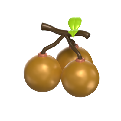 Three Longans 3D Fruit Model With Stalk And Leaves 3D Graphic