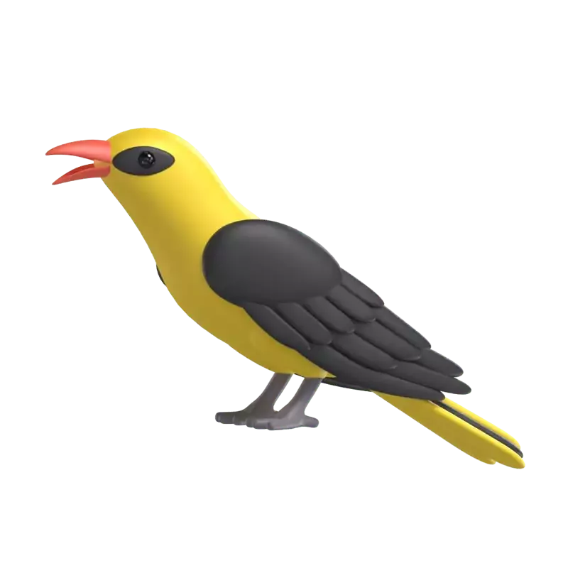 Indian Golden Oriole